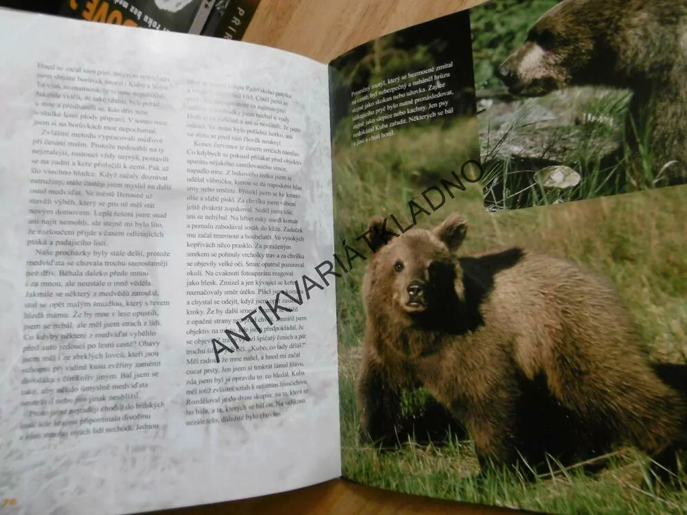 MÉĎOVÉ, PŮL ROKU S MEDVĚDÍMI KLUKY, CHALOUPEK, **an