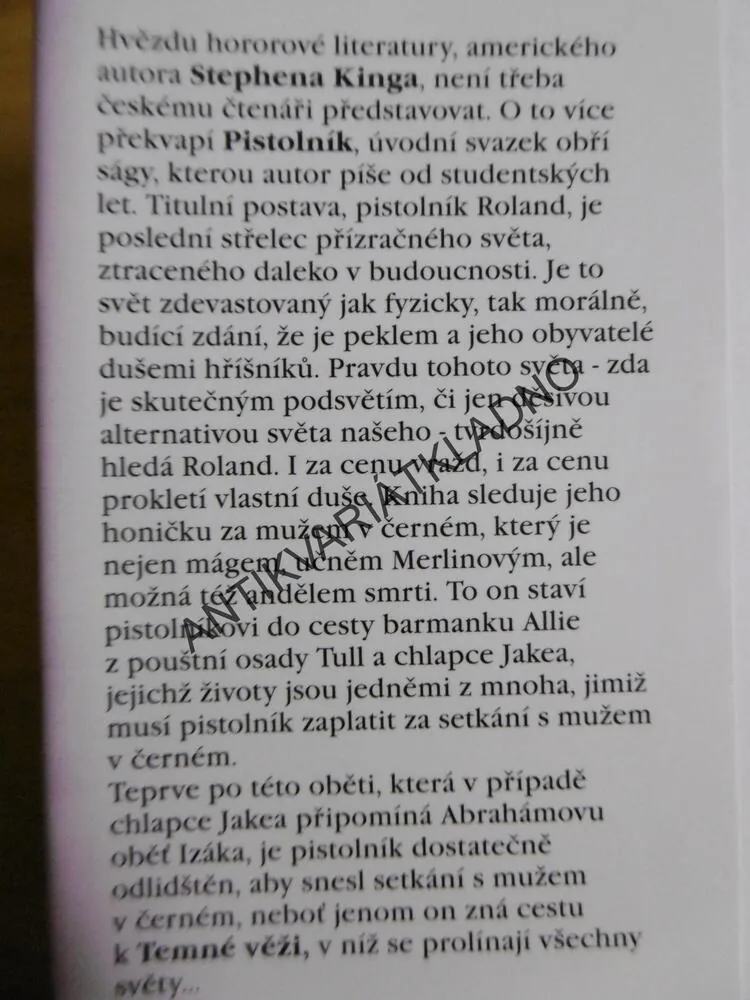 PISTOLNÍK, TEMNÁ VĚŽ, STEPHEN KING, **an