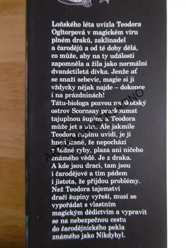 DRAK Z NIKDYBYLU, ANN DOWNEOVÁ