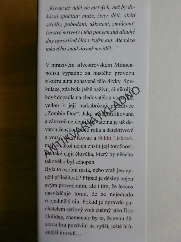 DEVÁTÁ DÍVKA, TAMI HOAG, **an