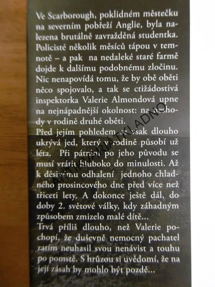 ZAPOMENUTÉ DÍTĚ, CHARLOTTE LINKOVÁ