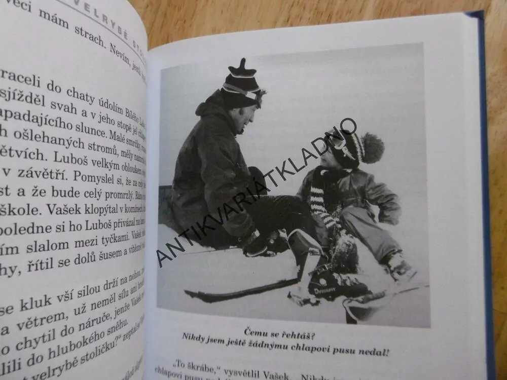 JAK VYTRHNOUT VELRYBĚ STOLIČKU, MARIE POLEDŇÁKOVÁ, **an