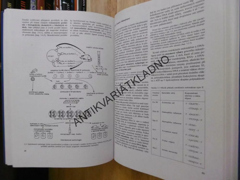 BIOCHEMIE, ZDENĚK VODRÁŽKA,1996