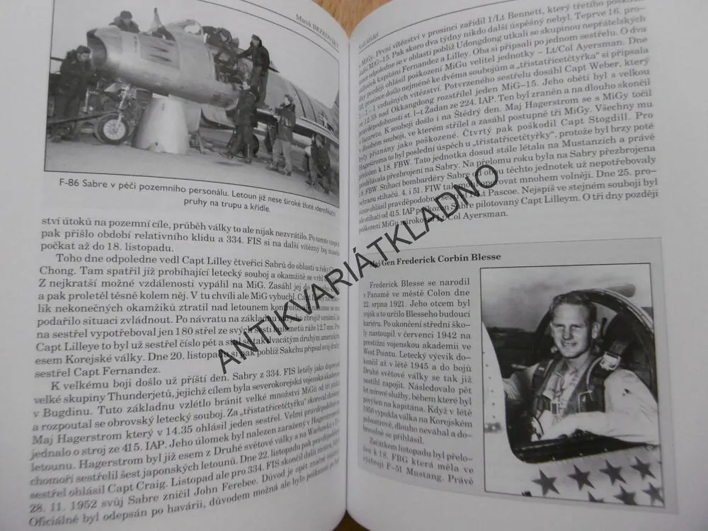S ORLEM VE ZNAKU, HISTORIE STÍHACÍ SQUADRONY OD BITVY O ANGLII PO VÁLKU V KOREJI, MAREK BRZKOVSKÝ