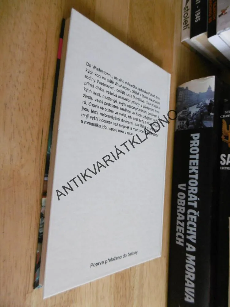 POHOŘÍ DIVOKÝCH KONÍ, ZANE GREY, HORA, GLAJC