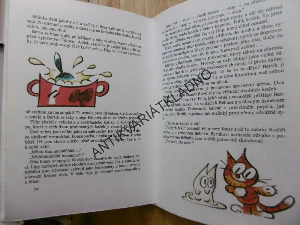 DĚVČÁTKO S KOŤATY, MAUEROVÁ, NESVADBA, 1979, **an