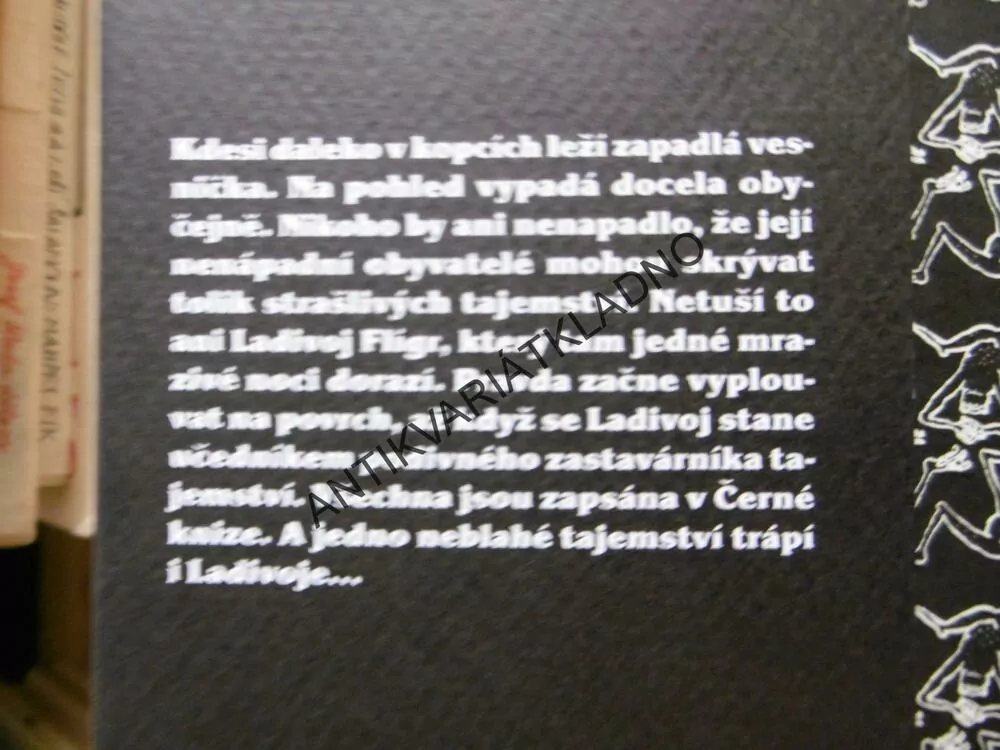 ČERNÁ KNIHA TAJEMSTVÍ, FIONA E. HIGGINSOVÁ