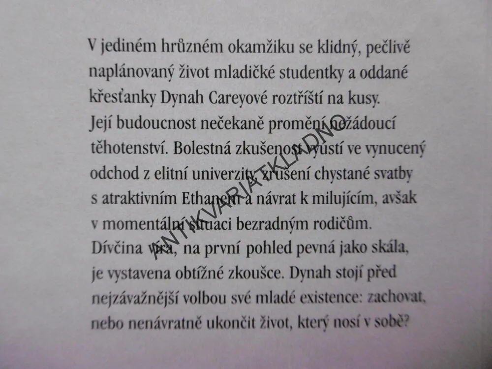VYKOUPENÉ DÍTĚ, FRANCINE RIVERSOVÁ, **an