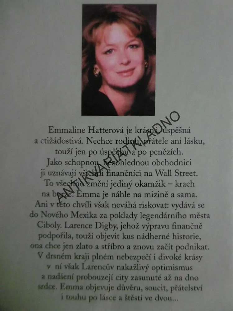 KOUZELNÁ CESTA, KRISTIN HANNAHOVÁ, **an
