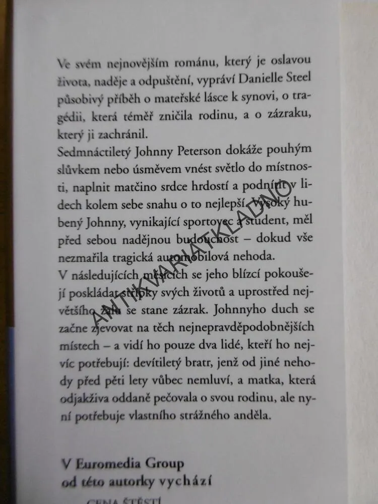 STRÁŽNÝ ANDĚL, DANIELLE STEEL, **an