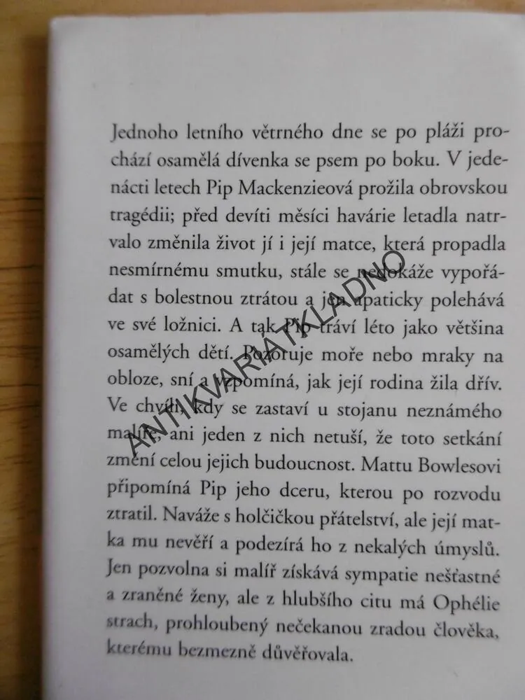 PŘÍSTAV BEZPEČÍ, DANIELLE STEEL