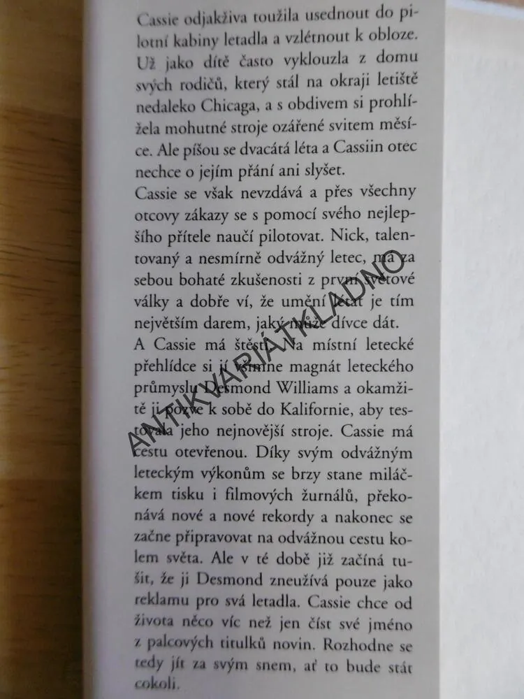 KŘÍDLA, DANIELLE STEEL