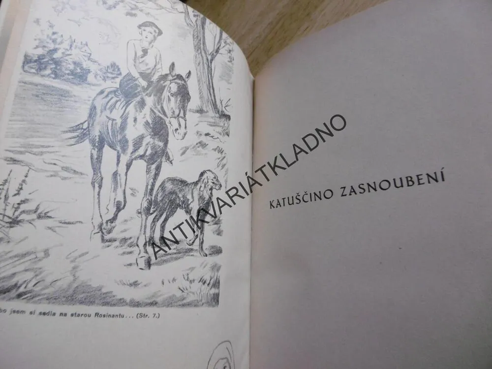 KATUŠČINO ZASNOUBENÍ, J. SCHULTZOVÁ,JIŘÍ WOWK, **an
