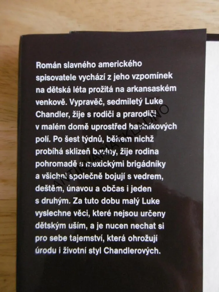 MALOVANÝ DŮM, JOHN GRISHAM, **an