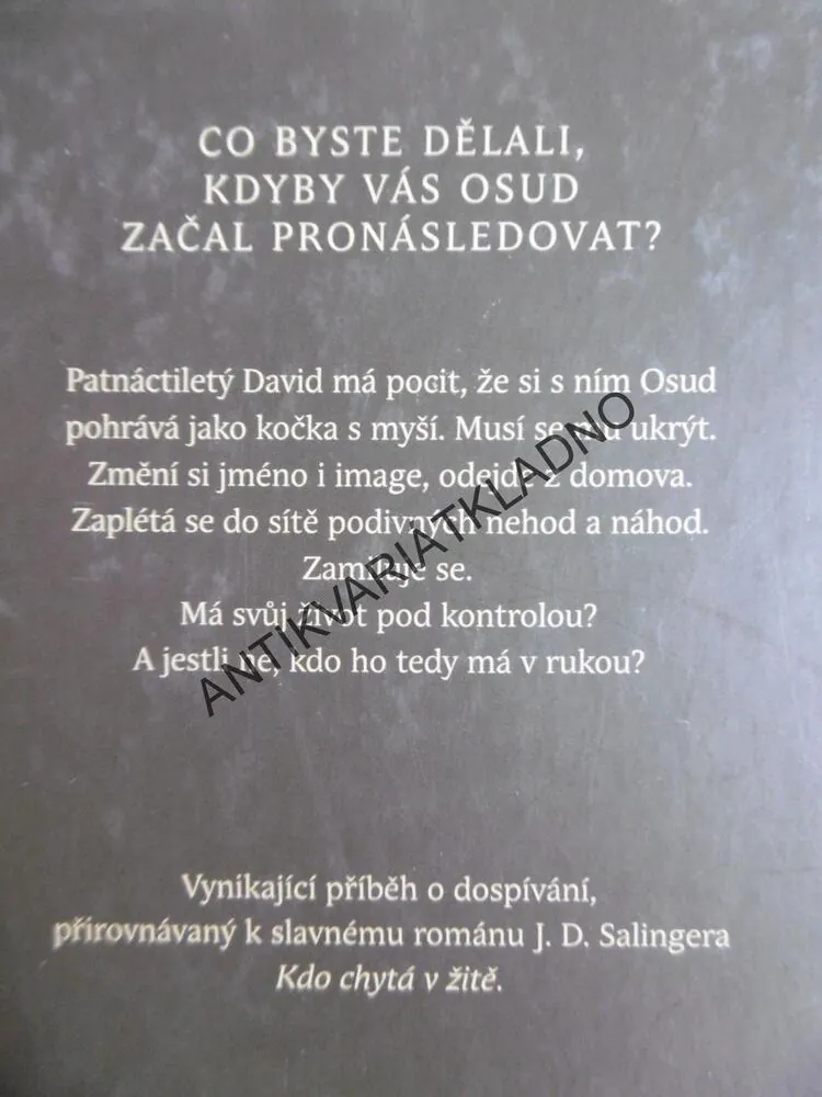 S OSUDEM V ZÁDECH, MEG ROSOFFOVÁ, **an