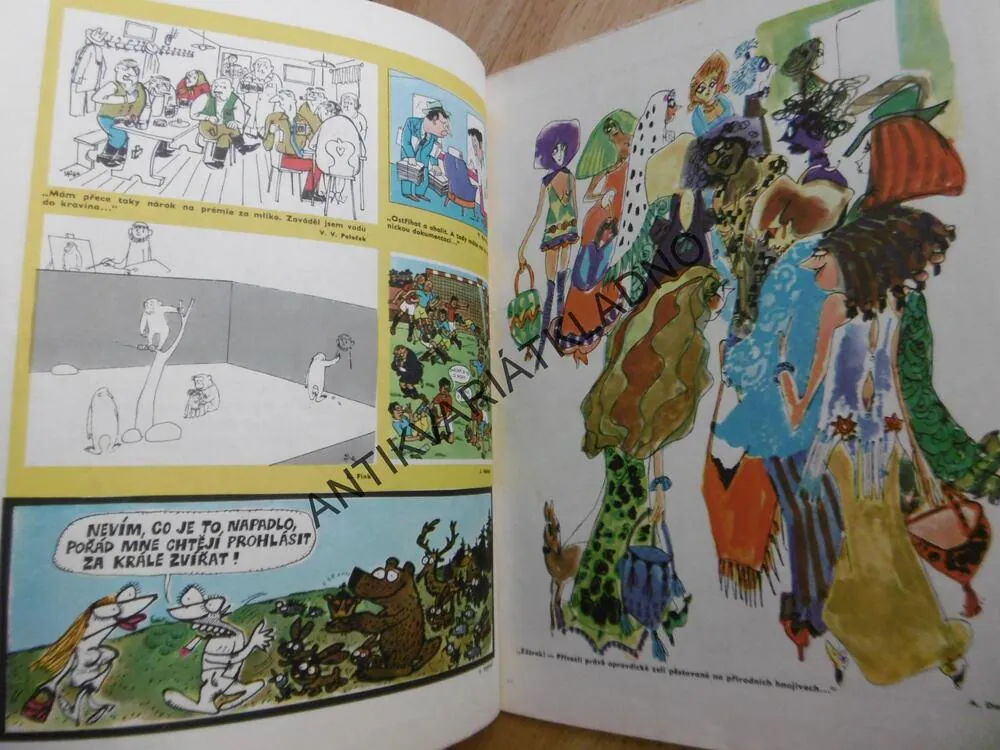 MAGAZÍN DIKOBRAZU