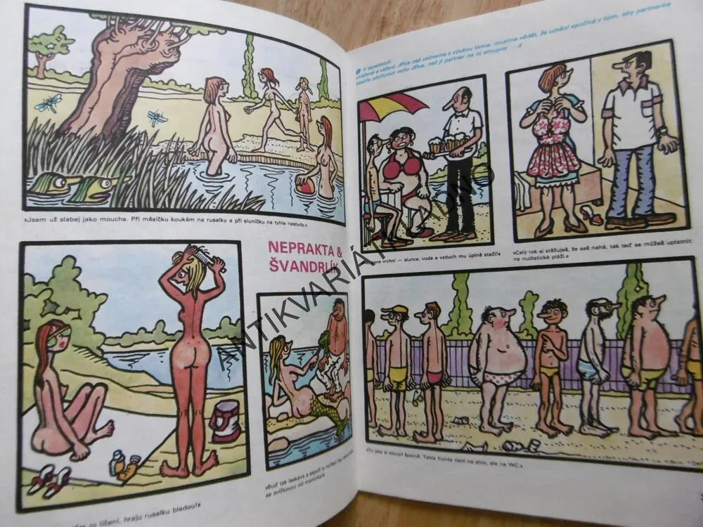 MAGAZÍN DIKOBRAZU 2/87