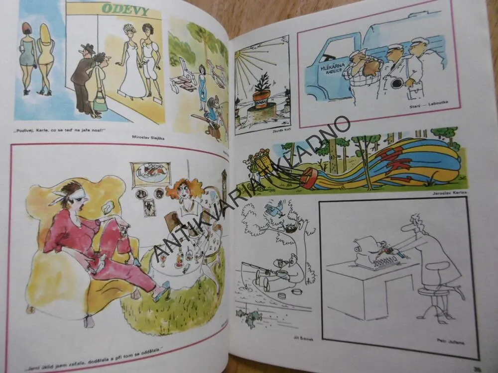 MAGAZÍN DIKOBRAZU 1/89