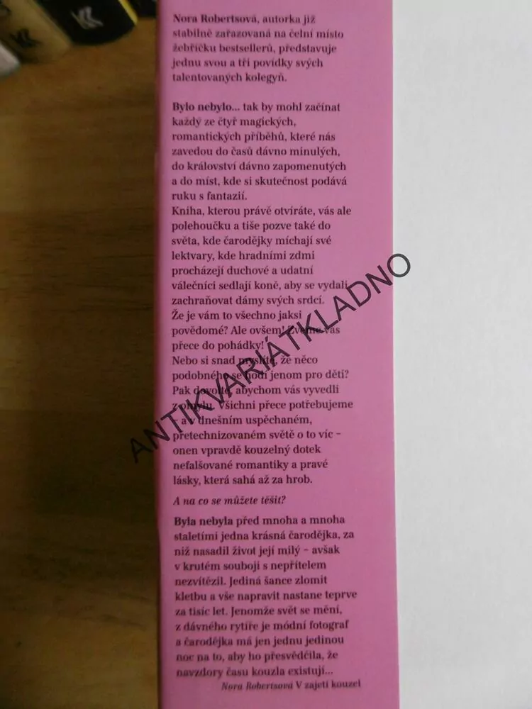 BYL JEDNOU JEDEN HRAD, NORA ROBERTSOVÁ, JILL GREGORYOVÁ, **an