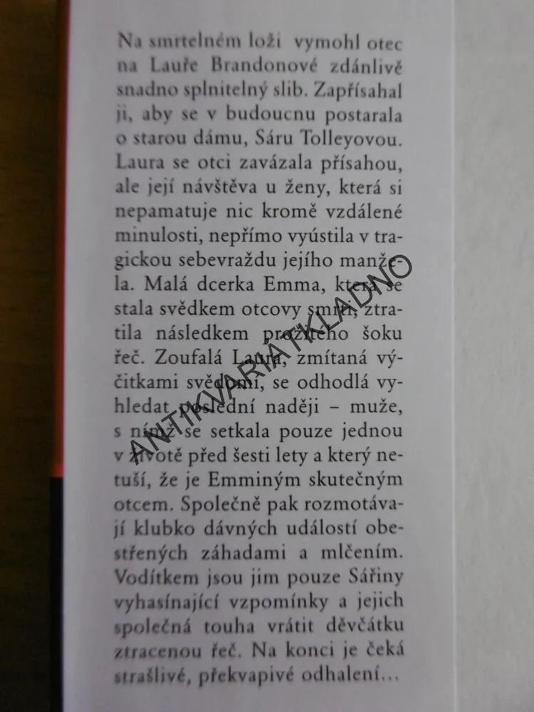 MLČENÍ, DIANE CHAMBERLAINOVÁ, **an