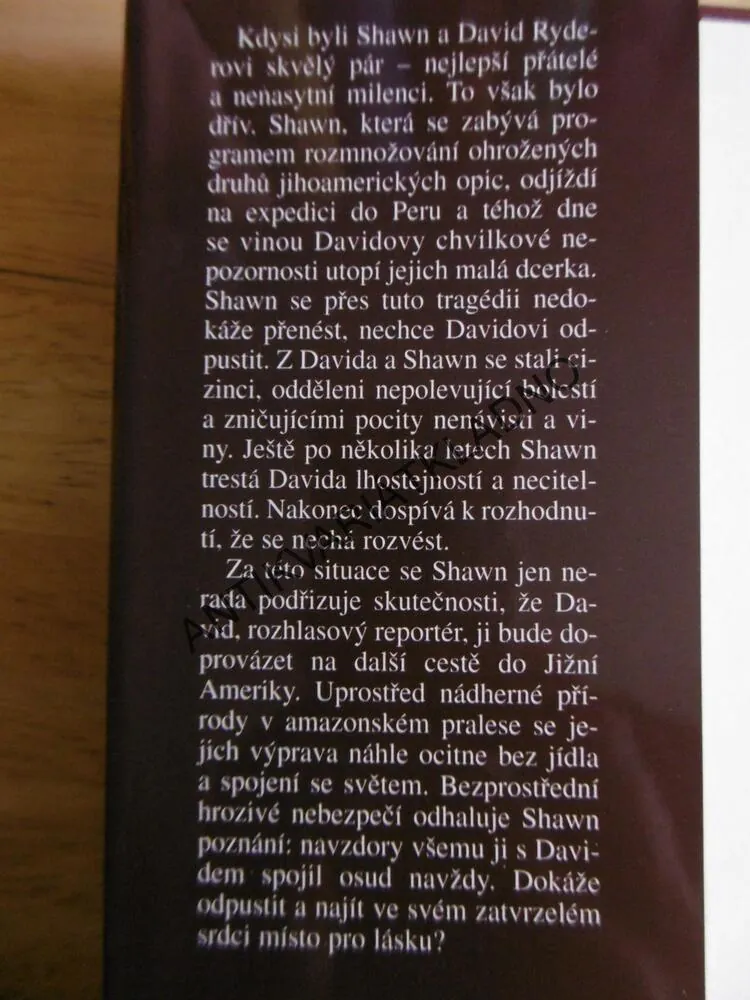 MILENCI A CIZINCI, DIANE CHAMBERLAINOVÁ
