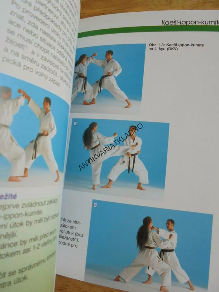 KARATE, SPORT, PRŮVODCE SPORTEM, WICHMANN