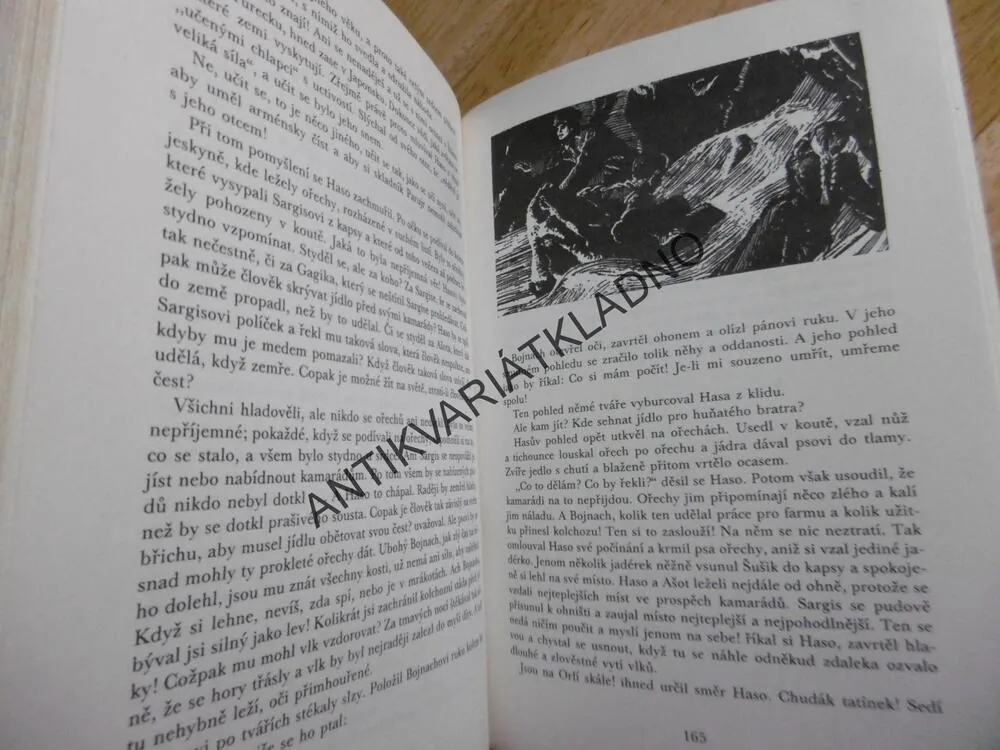 KOD 39 - ZAJATCI PARDÁLÍ SOUTĚSKY, VACHTANG ANANJAN, **an