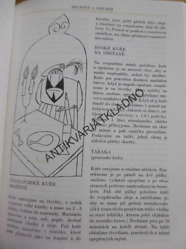 MUŽ V ZÁSTĚŘE, 600 RECEPTŮ, ACHILLE GREGOR, ADOLF BORN, **an