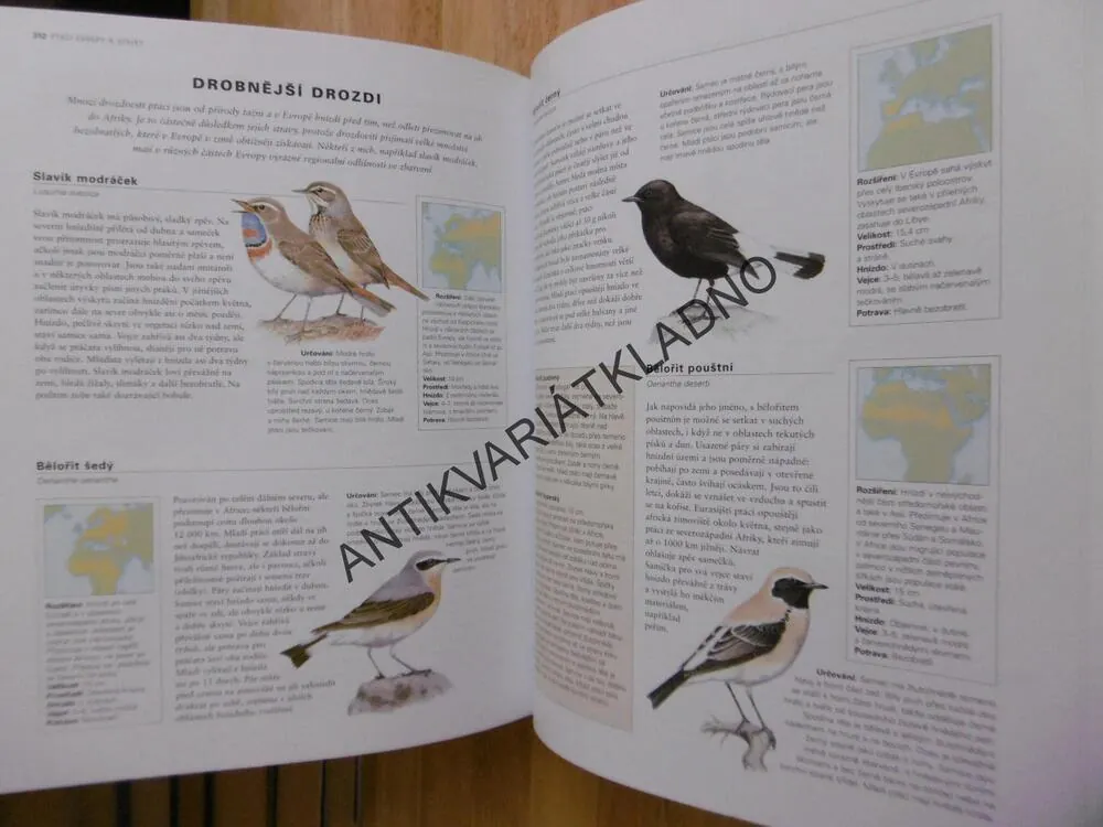 PTÁCI VŠECH KONTINENTŮ, ILUSTROVANÁ ENCYKLOPEDIE, ALDERTON, **an