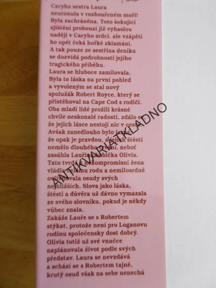 NOČNÍ HUDBA, VIRGINIA ANDREWSOVÁ