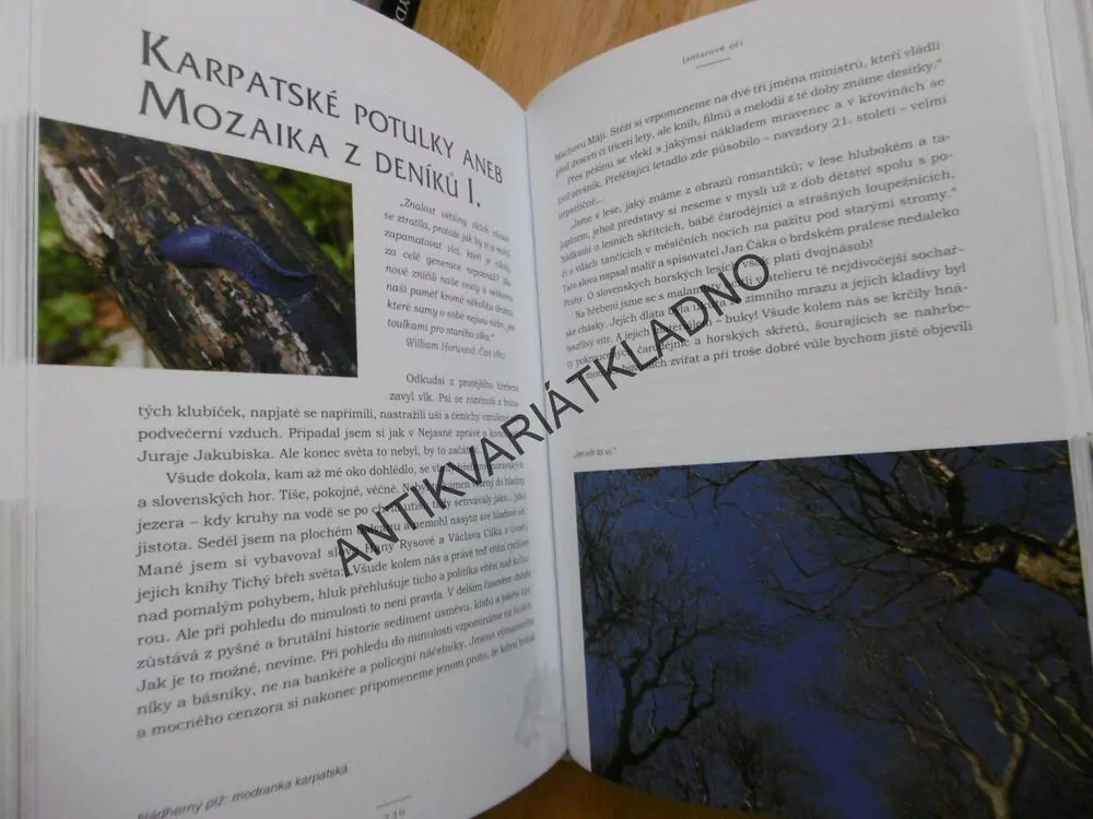 JANTAROVÉ OČI, JAROSLAV MONTE KVASNICA