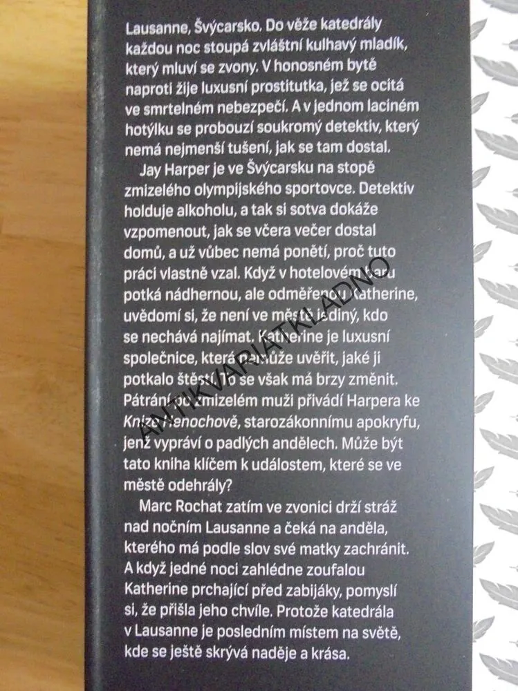 STRÁŽCI, JON STEELE,