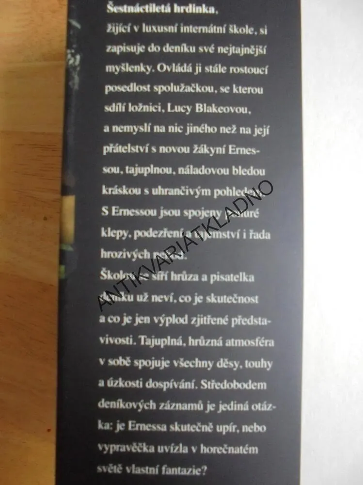 MÚŘÍ DENÍKY, RACHEL KLEINOVÁ, **an