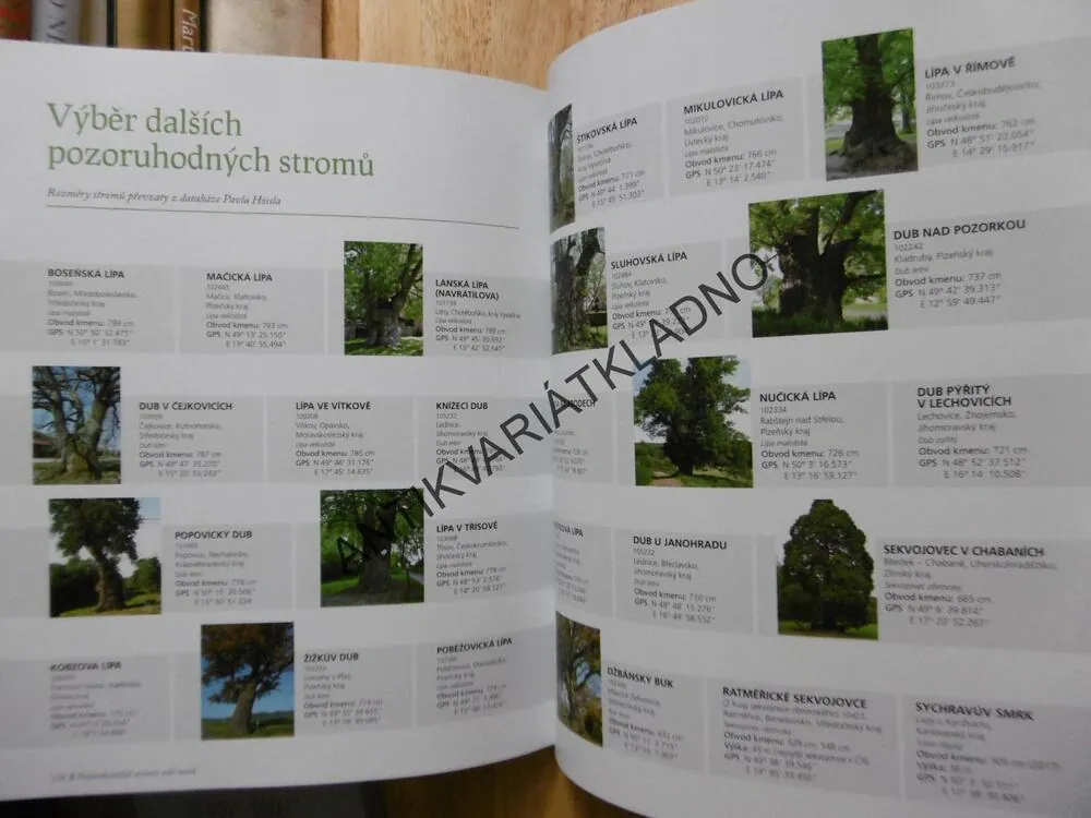 NEJMOHUTNĚJŠÍ STROMY NAŠÍ ZEMĚ, MARIE HRUŠKOVÁ, PAVEL HÖSSL, **an