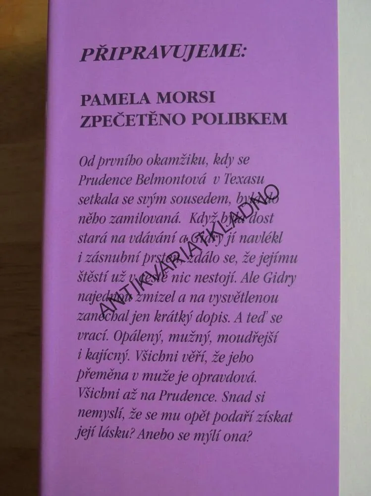 SVATEBNÍ POCHOD, PAMELA MORSI, **an