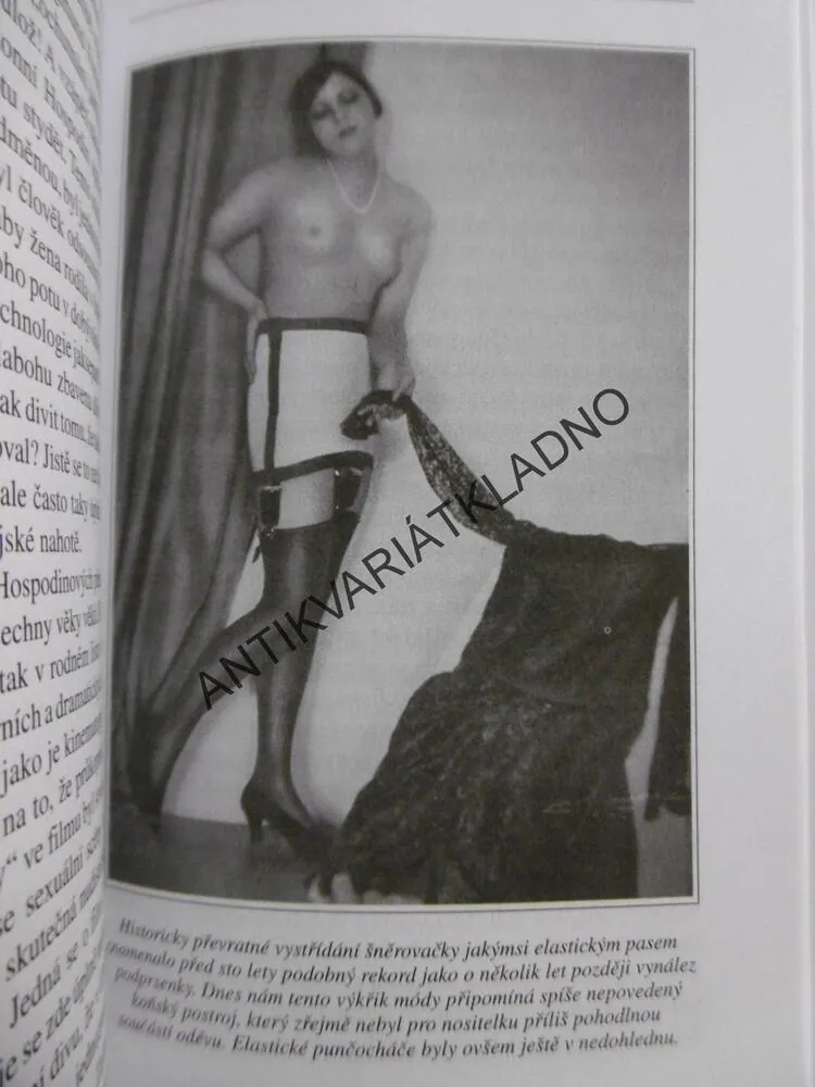 PORNOGRAFIE ANEB PROVOKUJÍCÍ NAHOTA, RADIM UZEL, 