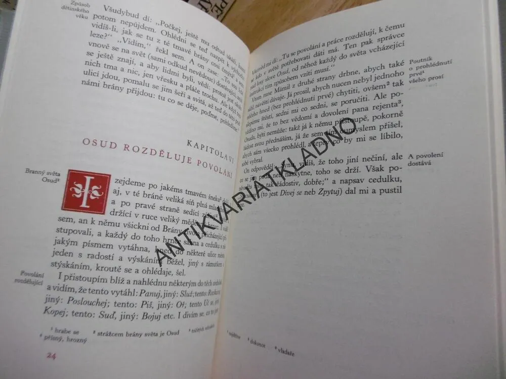 LABYRINT SVĚTA A RÁJ SRDCE, JAN ÁMOS KOMENSKÝ, **an
