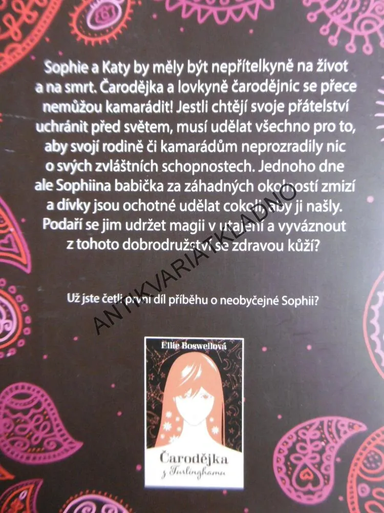 MAGIE V UTAJENÍ, ELLIE BOSWELLOVÁ, **an