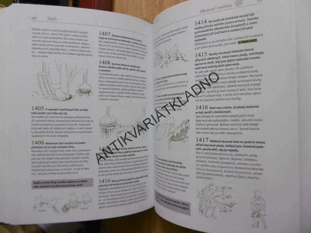 VELKÝ ZAHRADNICKÝ RÁDCE, ZAHRADNIČENÍ DEN PO DNI, FRANZ BÖHMIG