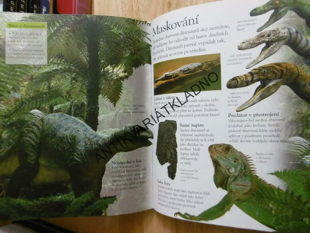 DINOSAUŘI, ŽIVOT, POTRAVA, NÁMLUVY, SOUBOJE, JAK VYHYNULI