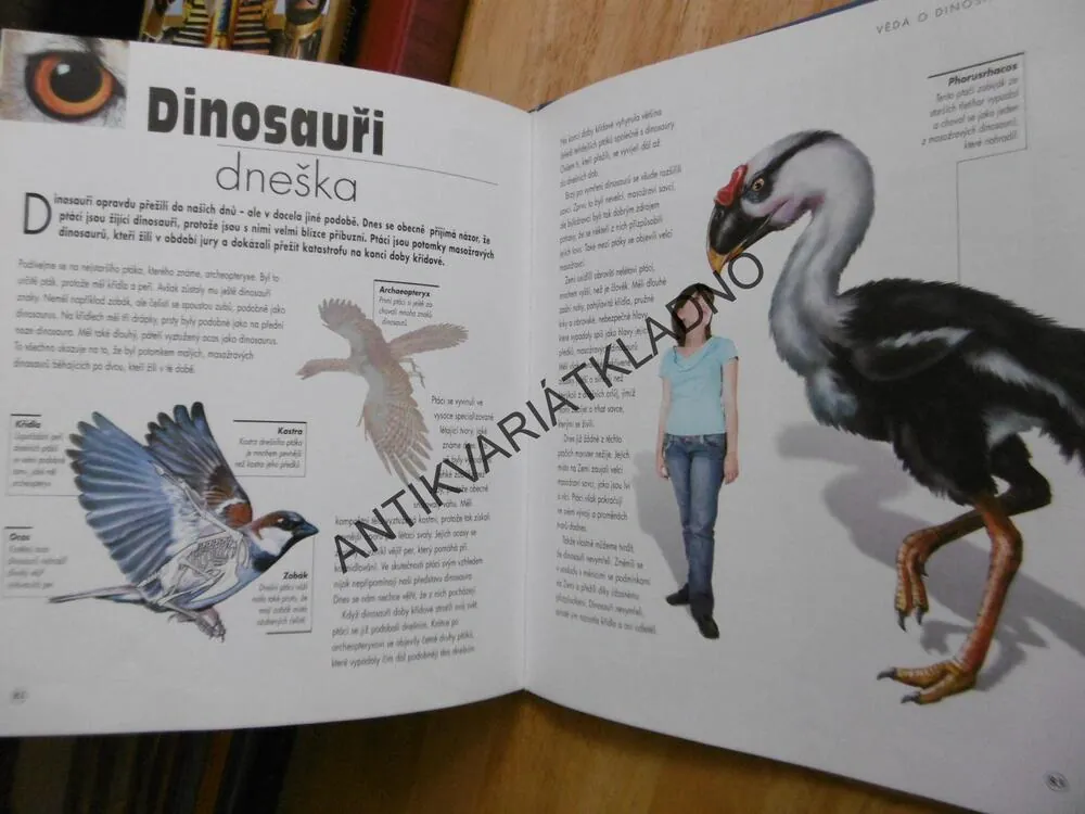KDYBY DINOSAUŘI ŽILI DNES