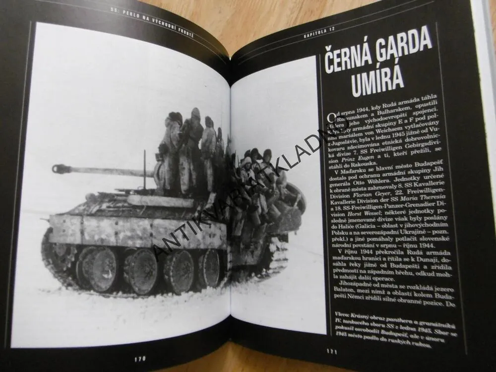 SS: PEKLO NA VÝCHODNÍ FRONTĚ, WAFFEN-SS V RUSKU 1941-45, CHRISTOPHER AILSBY, **an