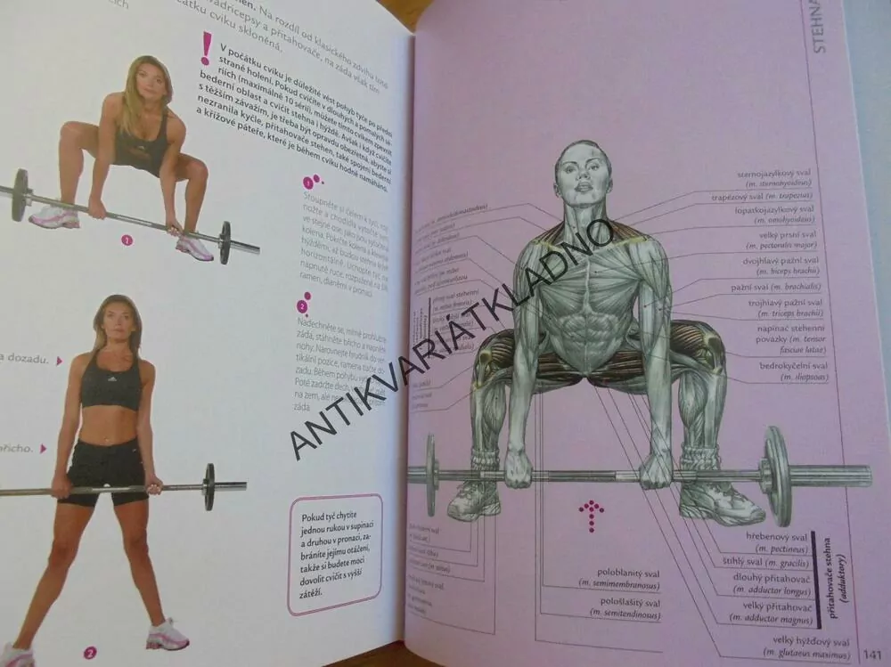 FITNESS PRO ŽENY, ANATOMIE, DELAVIER, POSILOVÁNÍ,SPORT