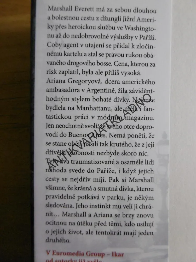 V UTAJENÍ, DANIELLE STEEL