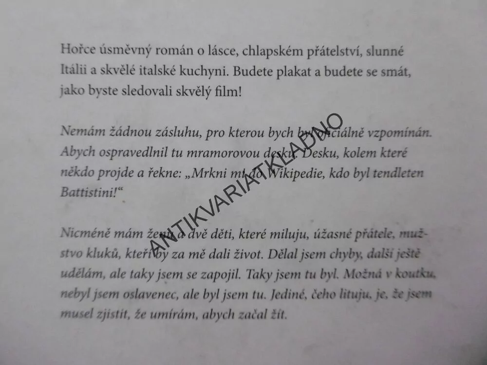 100 DNÍ ŠTĚSTÍ, FAUSTO BRIZZI, **an