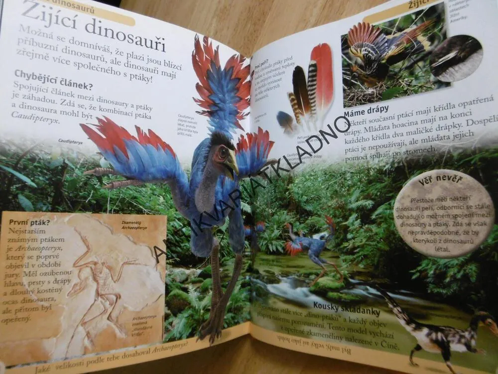 PRVNÍ ENCYKLOPEDIE DINOSAURŮ, DINOSAUŘI, **an
