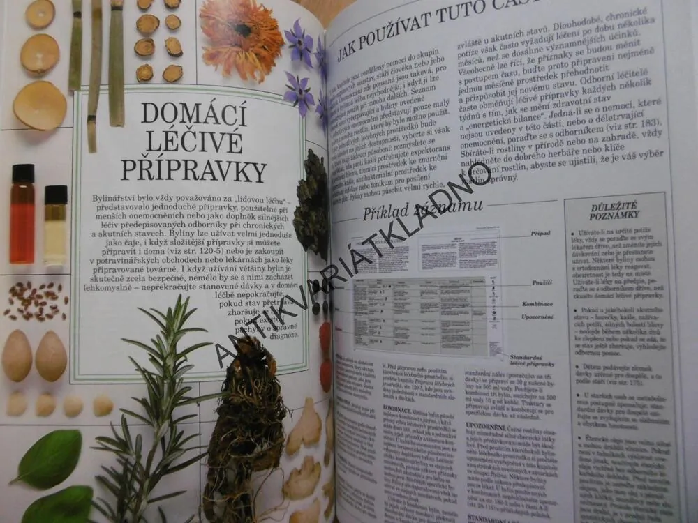 VELKÝ ATLAS LÉČIVÝCH ROSTLIN, PENELOPE ODYOVÁ