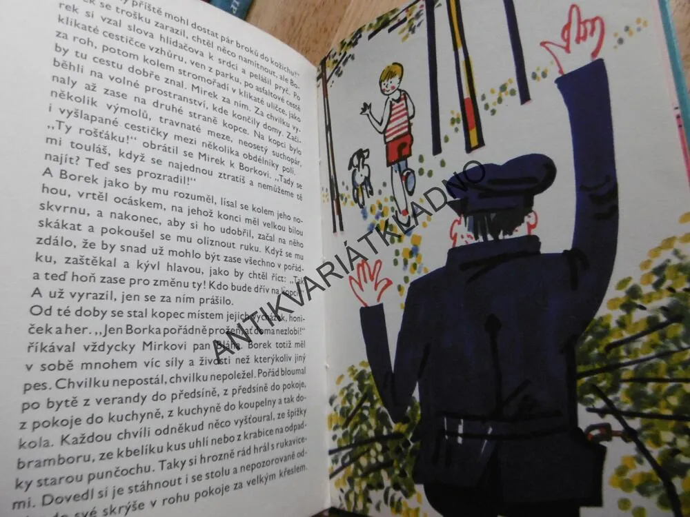 O UPOVÍDANÉM BRANKÁŘI, MIRKO PARÁČEK,HOKEJ, SPORT, 1965