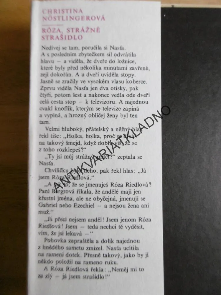 RÓZA, STRÁŽNÉ STRAŠIDLO, CHRISTINA NÖSTLINGEROVÁ