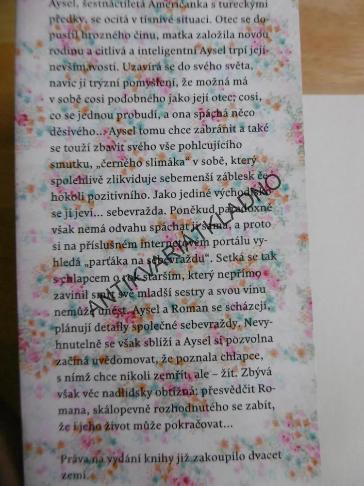 MOJE SRDCE A JINÉ ČERNÉ DÍRY, JASMINE WARGAOVÁ